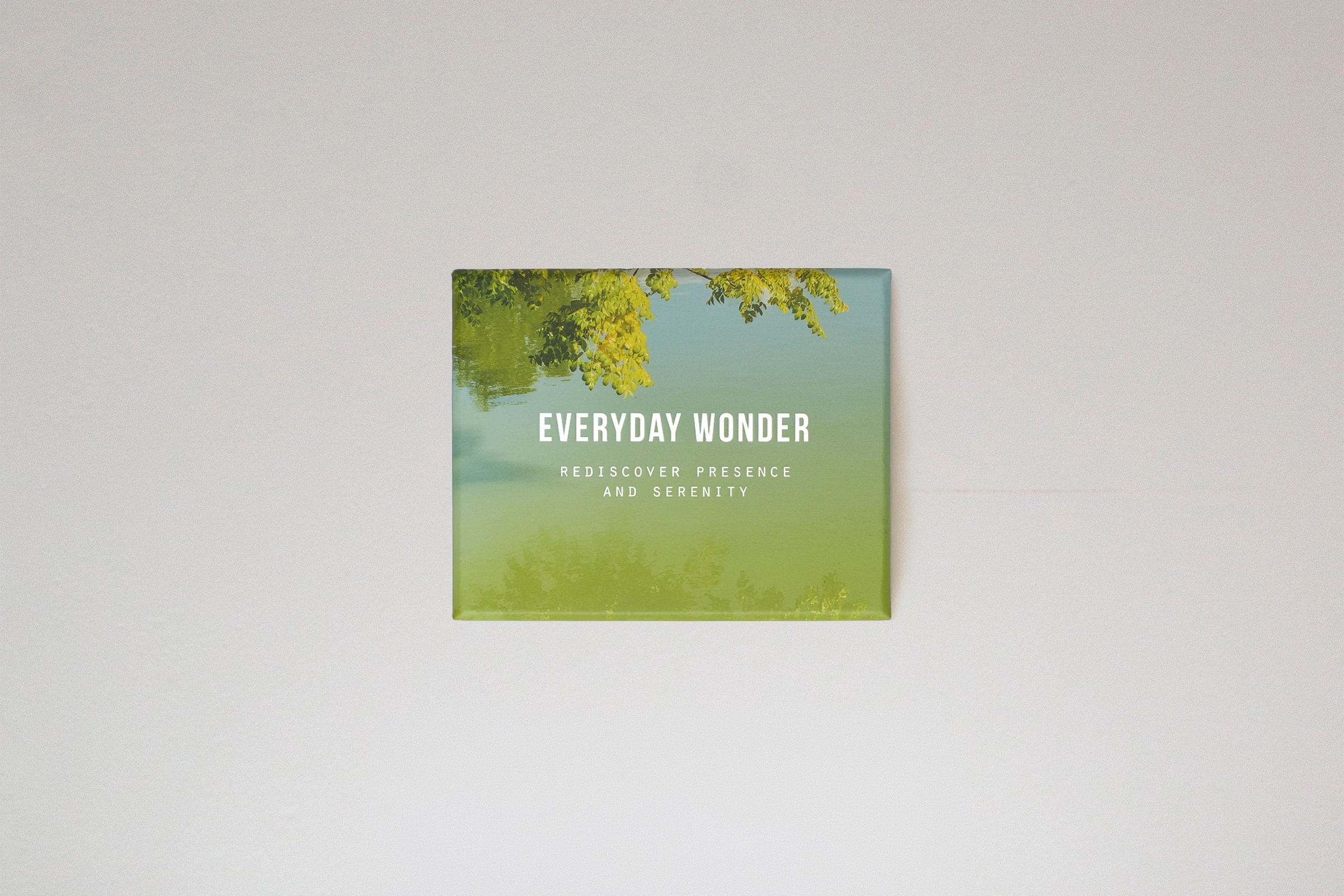 The School of Life Everyday Wonder