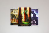 Field Notes Notebooks