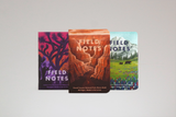 Field Notes Notebooks